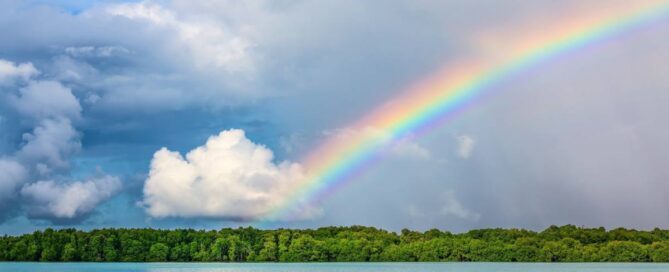 Regenbogen Brücke als Symbol einer Tierkommunikation für ein verstorbenes Tier